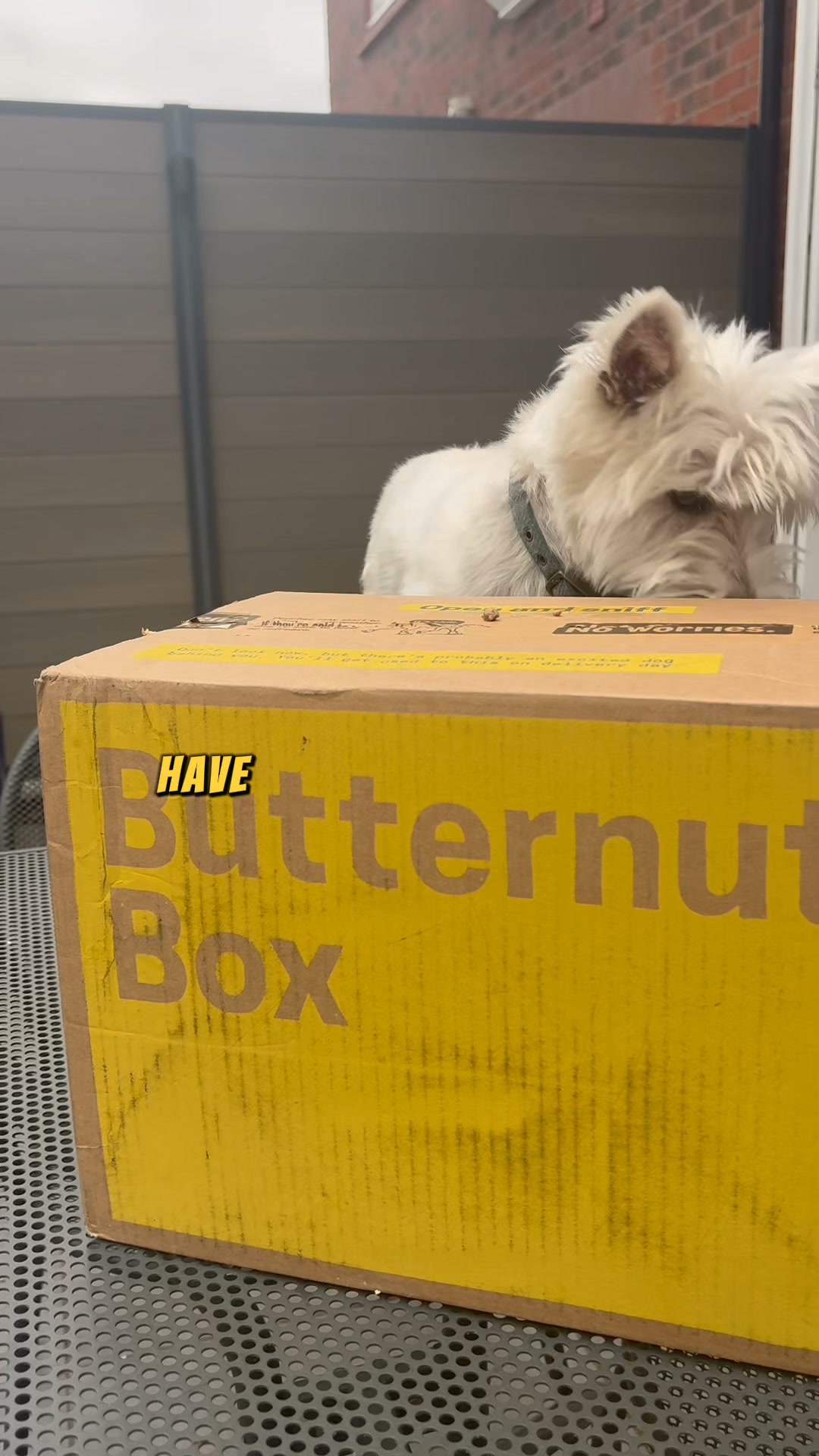 Butternut Box ad: Butternut Box: Fetch 25% Off Your First Two Boxes