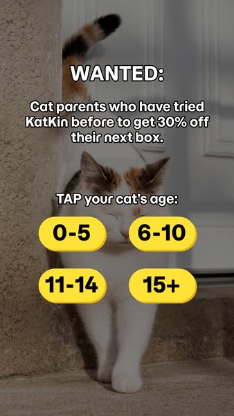 KatKin ad: 100% fresh meat for healthy cats