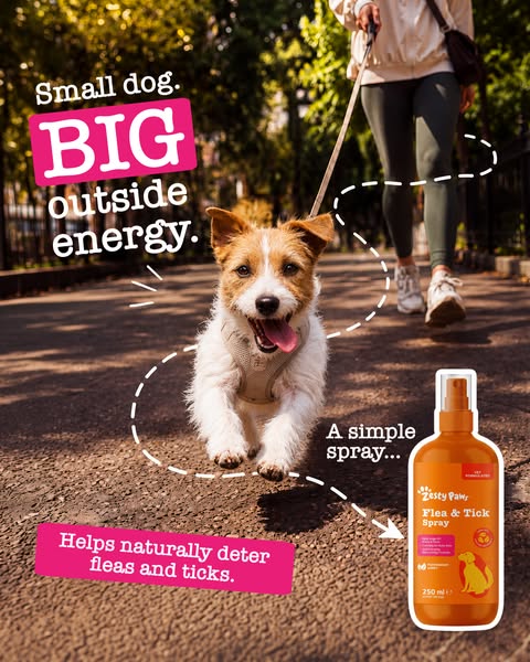Zesty Paws UK ad: Spray. Go. Cause chaos.