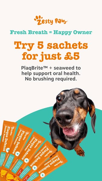 Zesty Paws UK ad: Fresher breath for just £5
