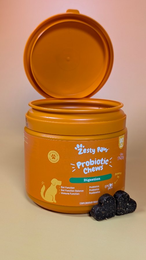 Zesty Paws UK ad: 🎃 Gut health never looked so good! Baxter’s been loving his Zesty Paws Probiotic Chews — the perfect daily treat that keeps his tummy happy
