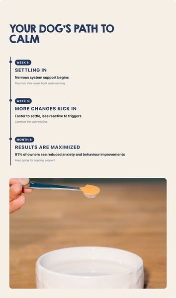 Pawd Drinks ad: Daily Calm for Anxious Dogs
