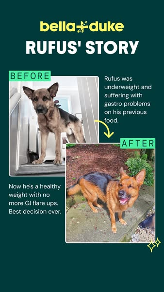 Bella+Duke ad: Get 40% off your first box