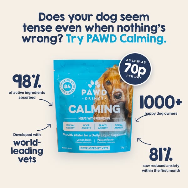 Pawd Drinks ad: Daily Calm for Anxious Dogs