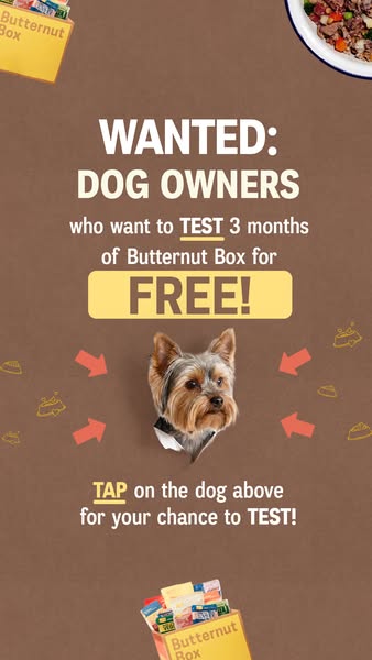 Butternut Box ad: 🐶Are you a dog owner?🐶