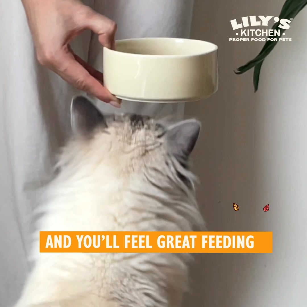 Lily's Kitchen ad: 25% Off First Orders