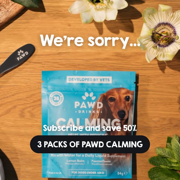 Pawd Drinks ad: Daily Calm for Anxious Dogs