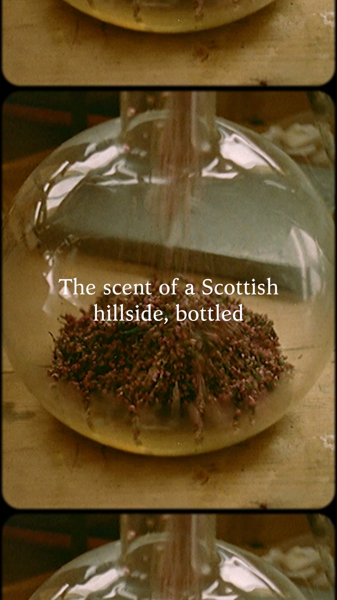Ffern ad: Small-Batch Natural Fragrance.