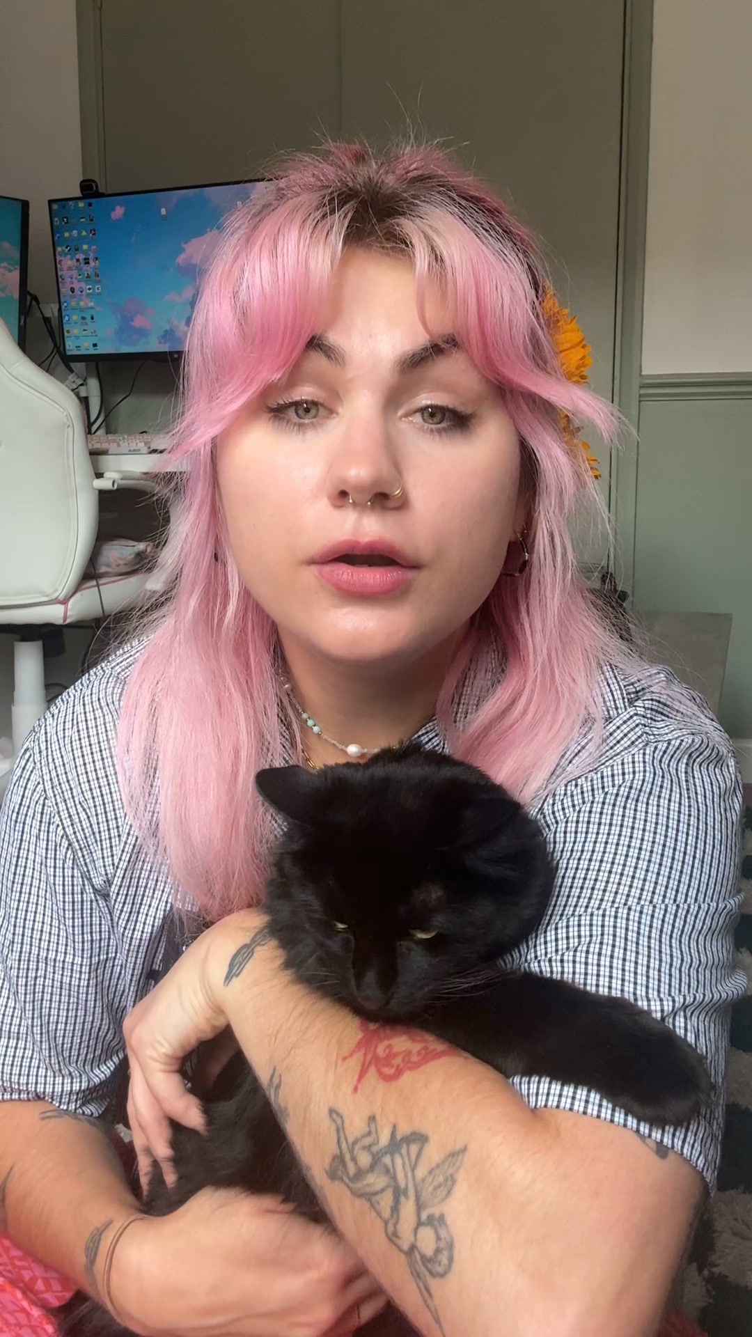 Zesty Paws UK ad: Tackle Hairballs Daily 🐱