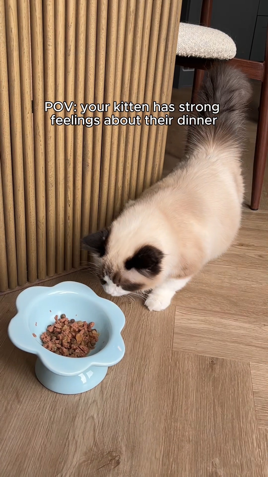 Scrumbles ad: Volume up for this one 🔈 TFW your dinner is so good you have to let your hooman know, but you also can't stop eating to tell them.. 📸 : @r