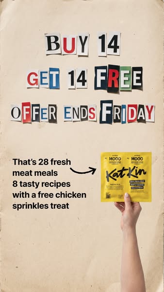 KatKin ad: 100% fresh meat for healthy cats