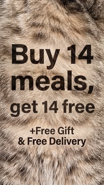 KatKin ad: 100% fresh meat for healthy cats