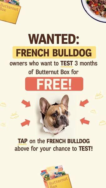 Butternut Box ad: 🐶 WANTED: FRENCH BULLDOG owners! 🐶