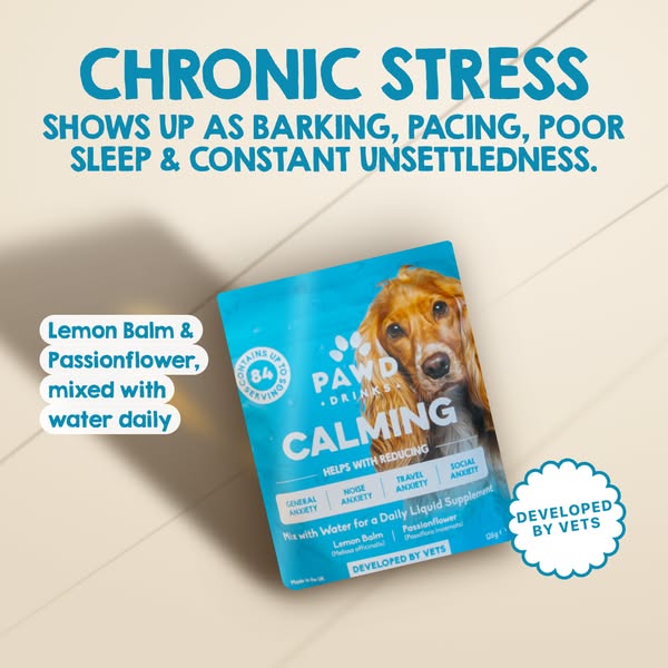 Pawd Drinks ad: Daily Calm for Anxious Dogs