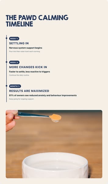 Pawd Drinks ad: Daily Calm for Anxious Dogs