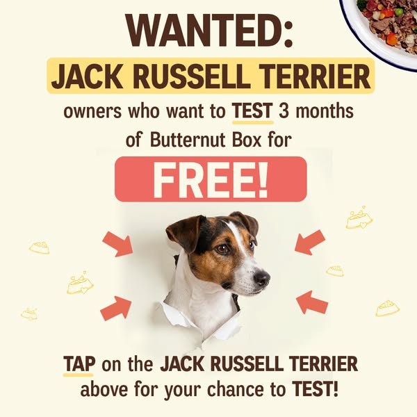 Butternut Box ad: 🐶 WANTED: JACK RUSSELL TERRIER owners! 🐶