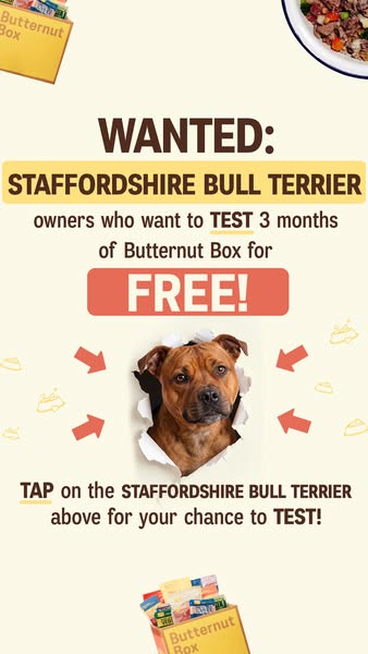 Butternut Box ad: 🐶 WANTED: STAFFORDSHIRE BULL TERRIER owners! 🐶