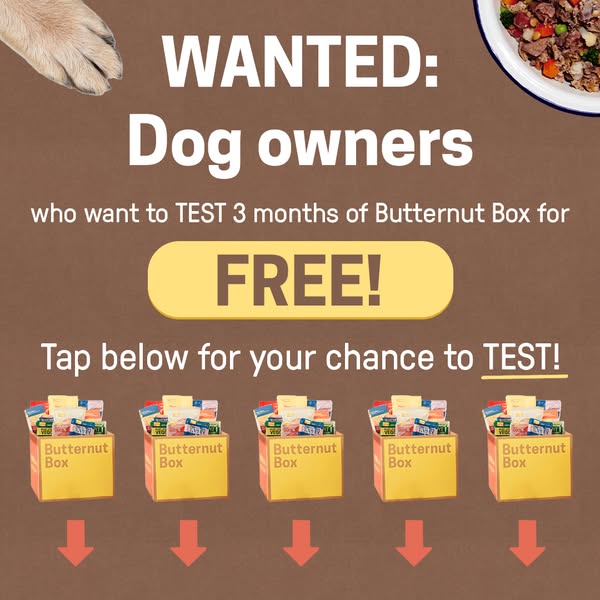 Butternut Box ad: 🐶Are you a dog owner?🐶