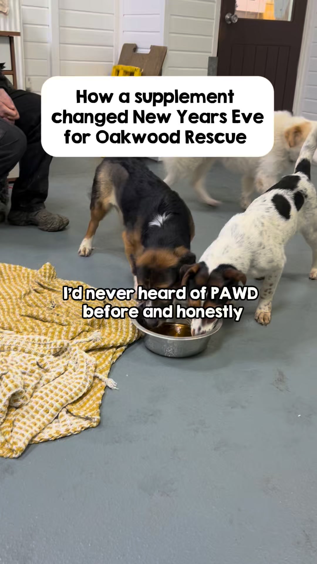Pawd Drinks ad: Daily Calm for Anxious Dogs