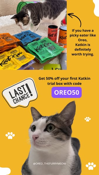 KatKin ad: 100% fresh meat for healthy cats