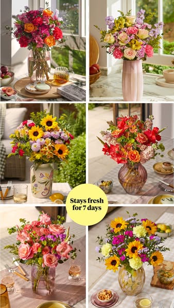 Bloom & Wild ad: 20% off your next order