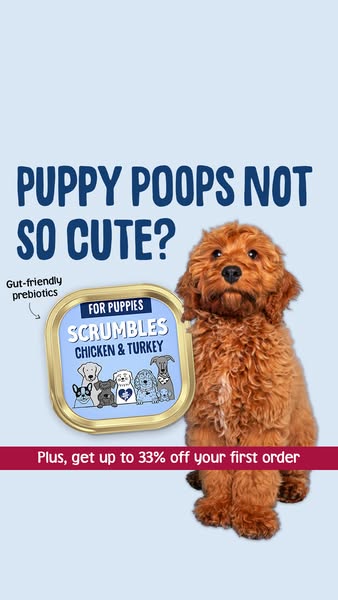 Scrumbles ad: Try With Up to 33% Off!
